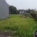 WhatsApp Image 2023-09-09 at 10.50.16