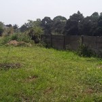 WhatsApp Image 2023-09-09 at 10.50.50