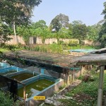 WhatsApp Image 2023-09-11 at 08.59.10