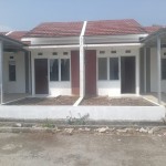 snapedit_1694487510365