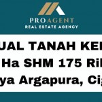 DIJUAL TANAH 990 m2 SHM 8,5 JT  m2 Jl. Provinsi Salabenda - Kemang (8)