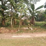 WhatsApp Image 2023-10-03 at 11.48.10