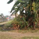 WhatsApp Image 2023-10-03 at 11.48.10 (2)