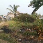 WhatsApp Image 2023-10-03 at 11.48.11