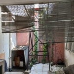 WhatsApp Image 2023-10-08 at 09.03.50