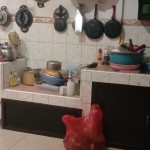 WhatsApp Image 2023-10-10 at 10.34.43