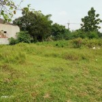 WhatsApp Image 2023-10-14 at 09.52.17