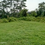 WhatsApp Image 2023-10-14 at 09.54.10