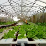 WhatsApp Image 2023-10-16 at 13.30.06