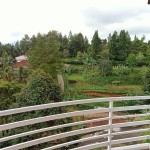 WhatsApp Image 2023-10-16 at 13.30.07