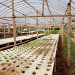 WhatsApp Image 2023-10-16 at 13.30.12