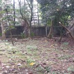 WhatsApp Image 2023-10-18 at 08.00.59 (1)