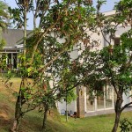 WhatsApp Image 2023-10-23 at 12.08.23 (1)