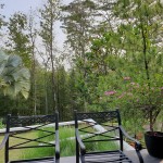 WhatsApp Image 2023-10-23 at 12.08.23 (2)