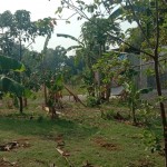 WhatsApp Image 2023-10-24 at 11.36.58