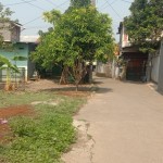 WhatsApp Image 2023-10-24 at 11.38.17