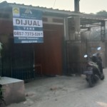 snapedit_1691484256238