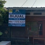 snapedit_1691484432430