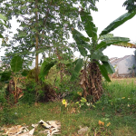 snapedit_1696318094209