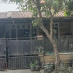 snapedit_1696909516970
