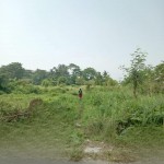 snapedit_1697430443555