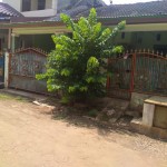 snapedit_1697609964921