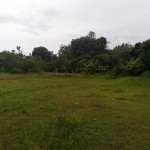 WhatsApp Image 2022-11-24 at 3.02.19 PM