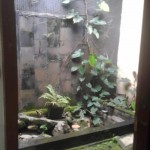 WhatsApp Image 2023-01-21 at 12.31.59 PM (1)