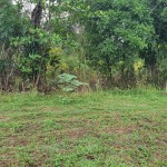 WhatsApp Image 2023-11-06 at 19.22.13_0b323eee