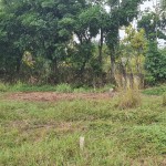 WhatsApp Image 2023-11-06 at 19.22.14_6d9eedc5