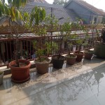 WhatsApp Image 2023-11-20 at 11.30.11_3b733e93