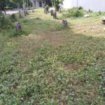 WhatsApp Image 2023-11-28 at 07.14.39_37a883fe