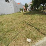 WhatsApp Image 2023-11-28 at 07.14.41_56839e8a