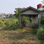 snapedit_1699080017809