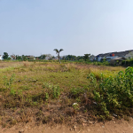 snapedit_1699080046975