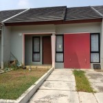 snapedit_1699084501836