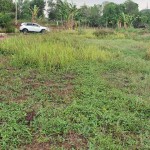 snapedit_1699324272382