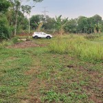 snapedit_1699324293941