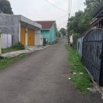 snapedit_1699507894150
