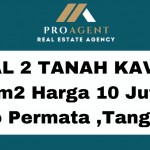 DIJUAL TANAH 990 m2 SHM 8,5 JT  m2 Jl. Provinsi Salabenda - Kemang (12)