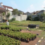 WhatsApp Image 2023-12-01 at 10.26.04_0d3259fa