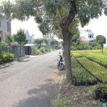 WhatsApp Image 2023-12-01 at 10.26.05_731d6d97