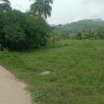 WhatsApp Image 2023-12-10 at 12.43.40_40659039