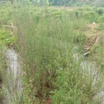 WhatsApp Image 2023-12-10 at 12.44.51_458673e7