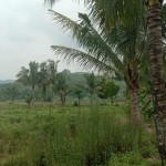 WhatsApp Image 2023-12-10 at 12.45.47_9ad480fb