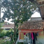 WhatsApp Image 2023-12-28 at 10.54.09_a251759c