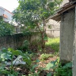 WhatsApp Image 2023-12-28 at 10.54.11_93b7958a