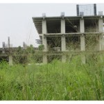 IMG_0220