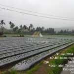 Untitled design (13)