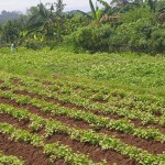 WhatsApp Image 2023-12-31 at 10.06.09_60b519c7